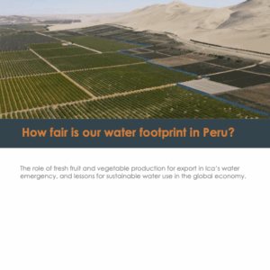 Cultivated land with sand dunes in background. Txt: How Fair is our Water Footprint in Peru?